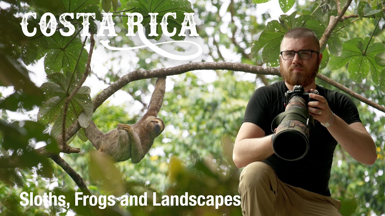 Photographing Wildlife in Costa Rica: Sloths, Frogs, and Stunning Nature