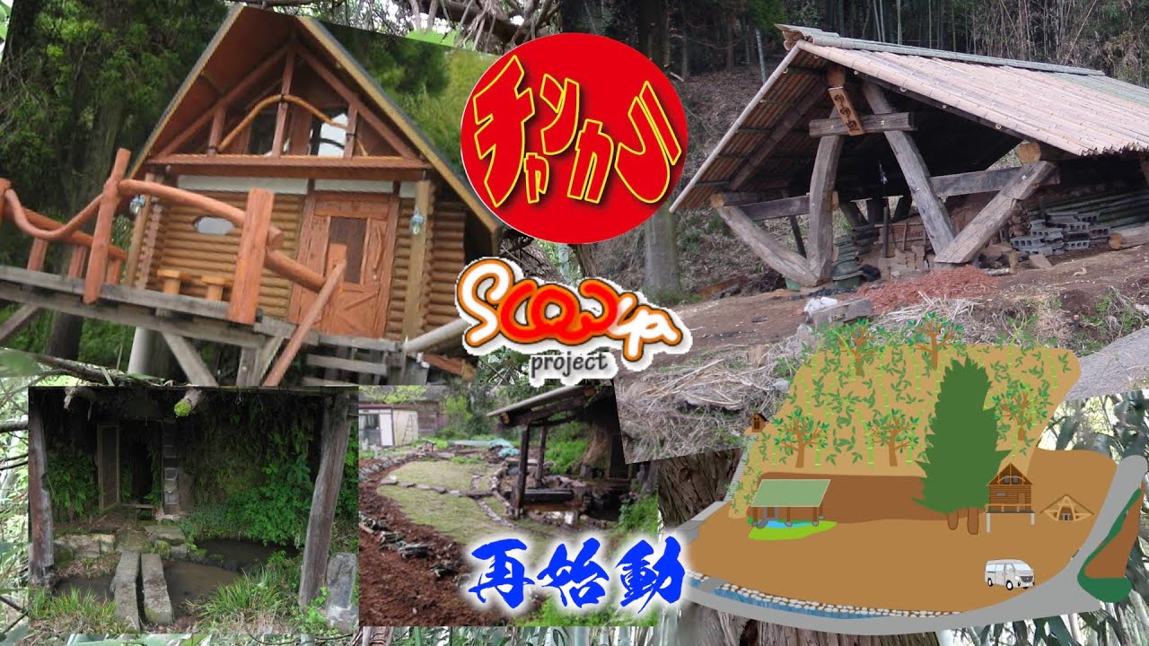 横穴井戸のある荒れ放題の里山を復活させるべく里山ツアー。