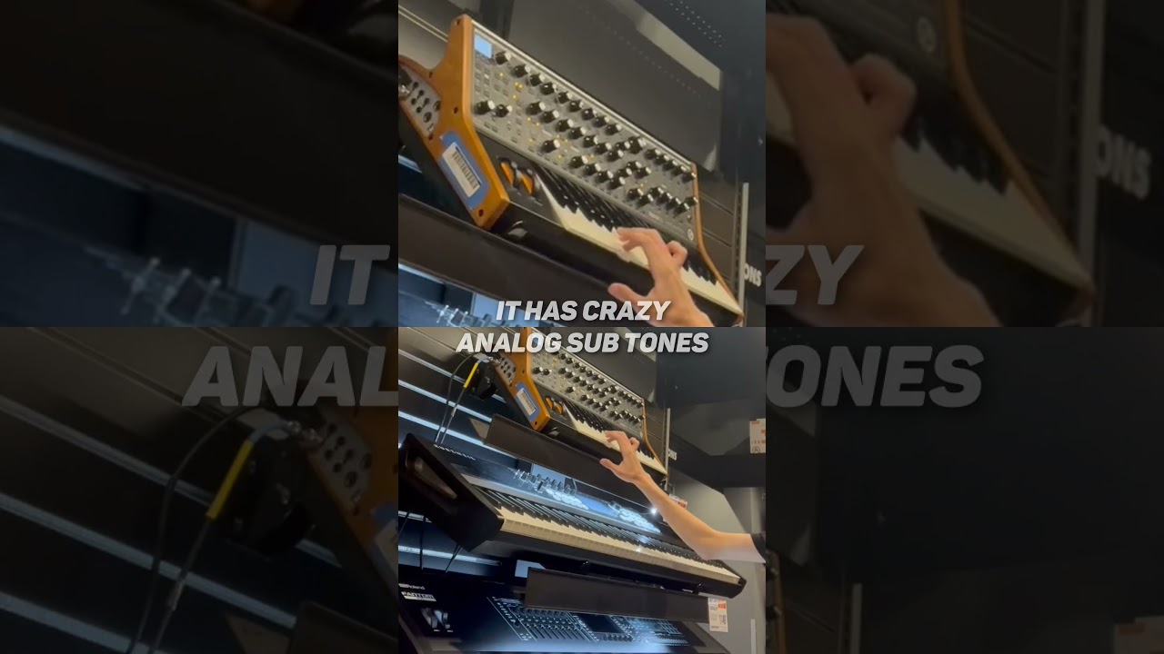 Crazy Analog Sub Synth (MOOG SUBSEQUENT 37) #synth