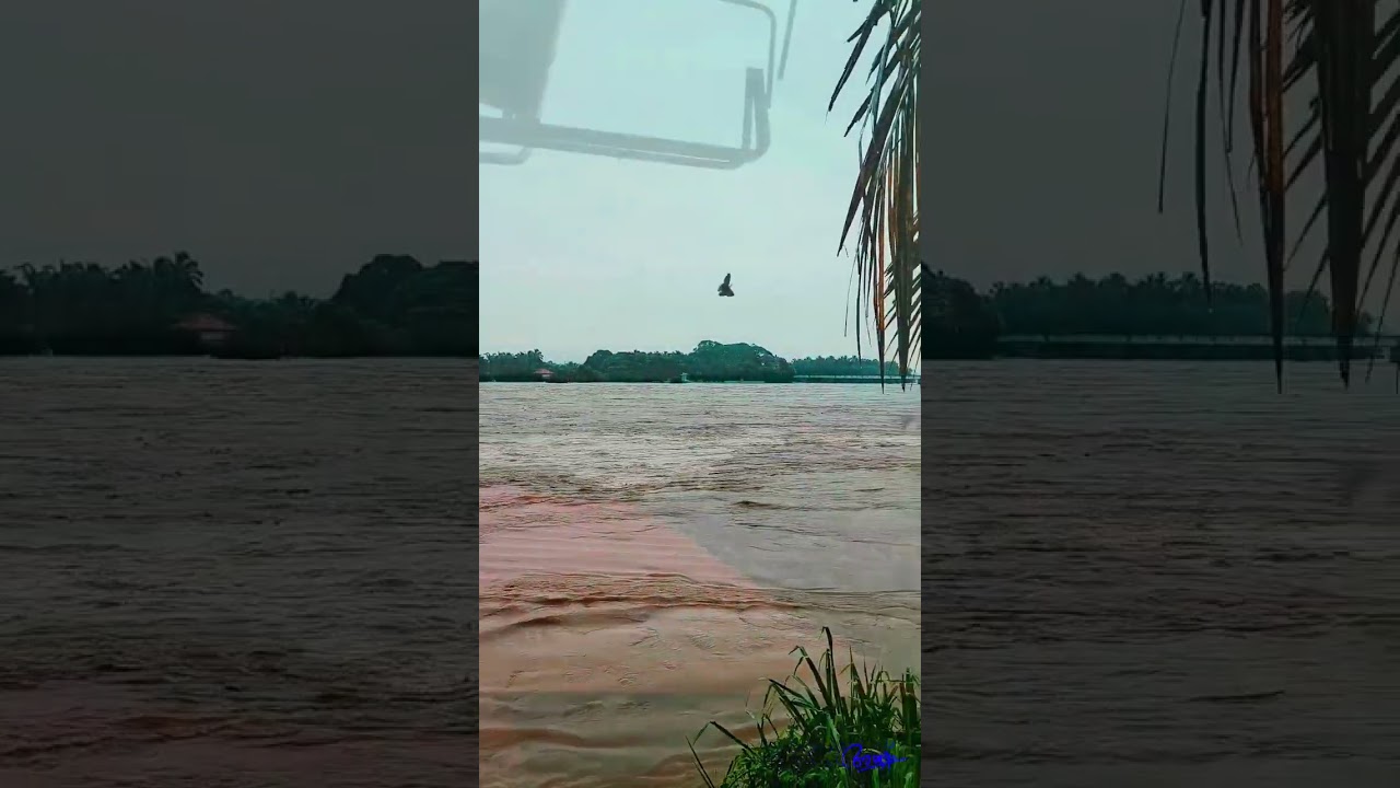 cheruthuruthi flood 