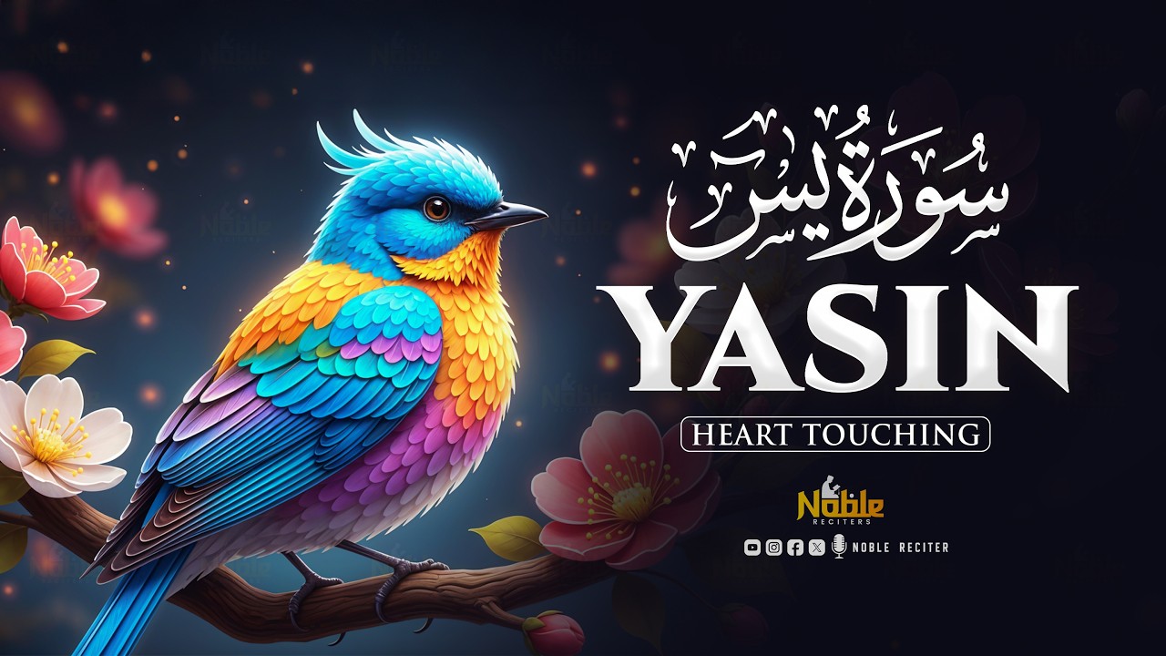 Surah Yaseen سورة يس | This Beautiful Recitation Will Touch Your Heart إن شاء الله | Noble Reciters