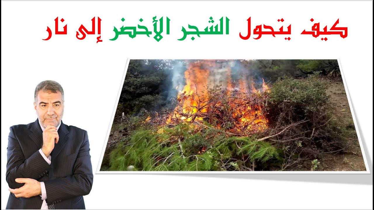 اسأل الكحيل 59  كيف يتحول الشجر الأخضر إلى نار | عبد الدائم الكحيل