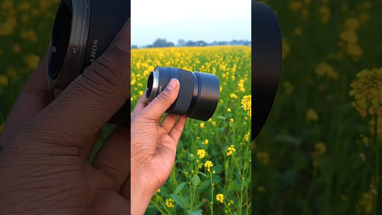 Sony 50MM 1.8 || Best Portrait Lens #shorts #SonyCamera #Sony50MM