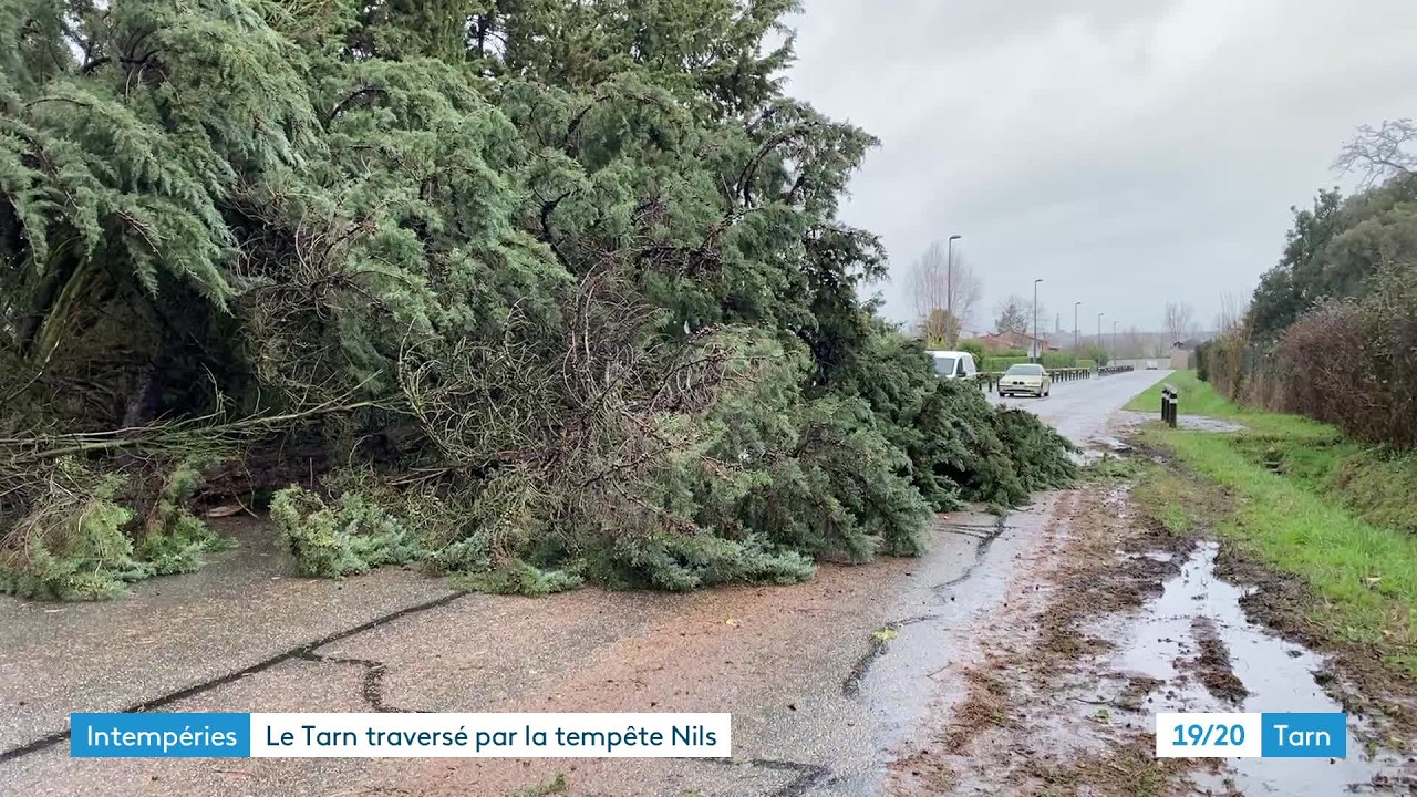 La temp&ecirc;te Nils n'a pas &eacute;pargn&eacute; le Tarn