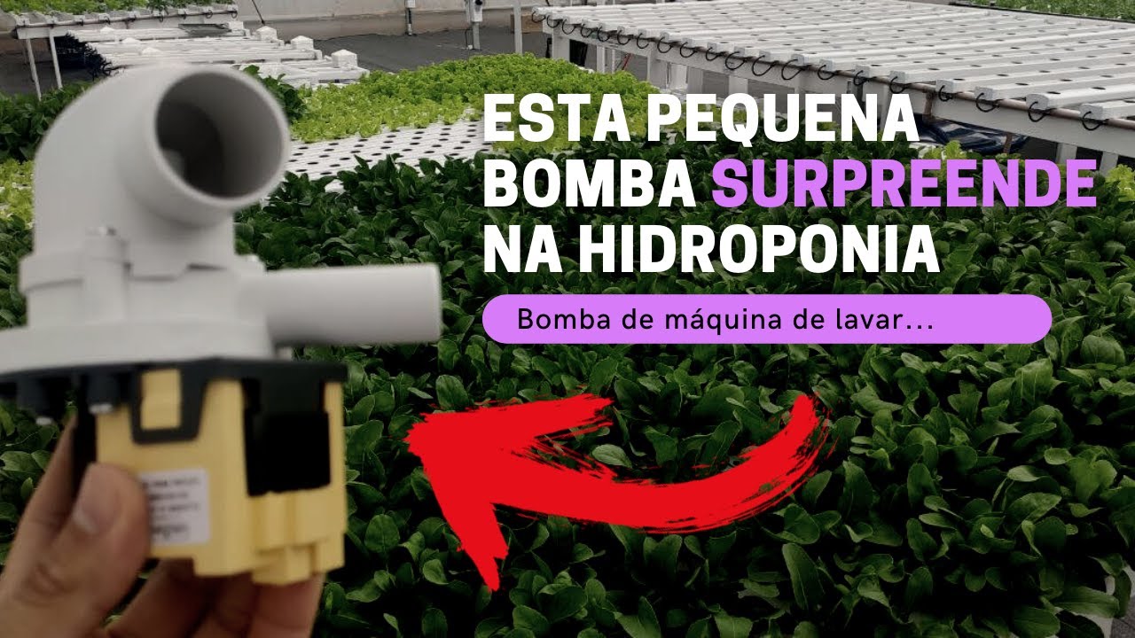 😲 INCRÍVEL como a Bomba de Máquina de Lavar rende na Hidroponia!