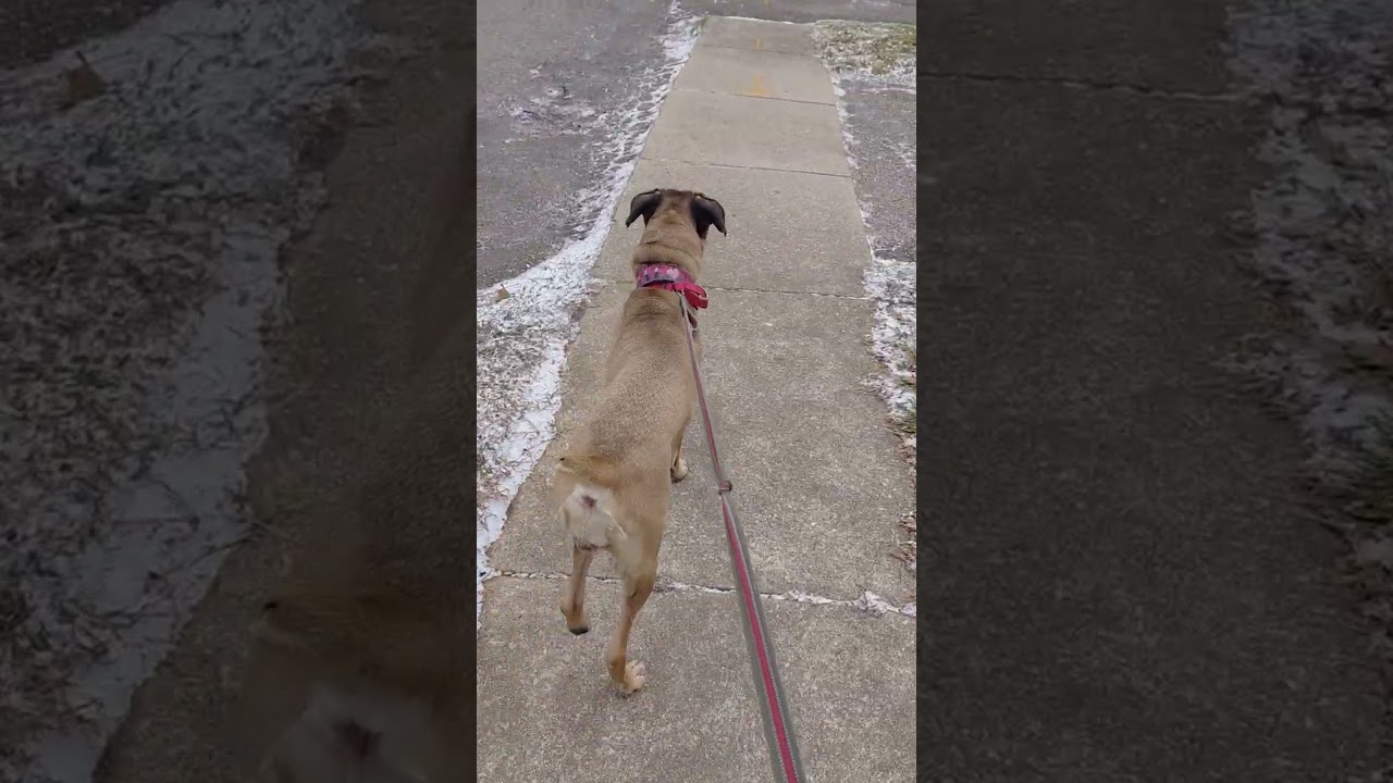 I hate the cold she hates the cold 