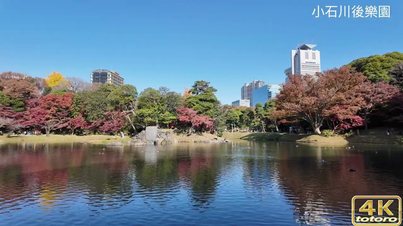 2025 東京賞花