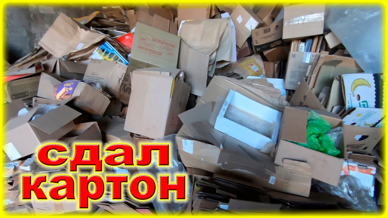 Бизнес на КАРТОНЕ. Сколько можно заработать ДЕНЕГ