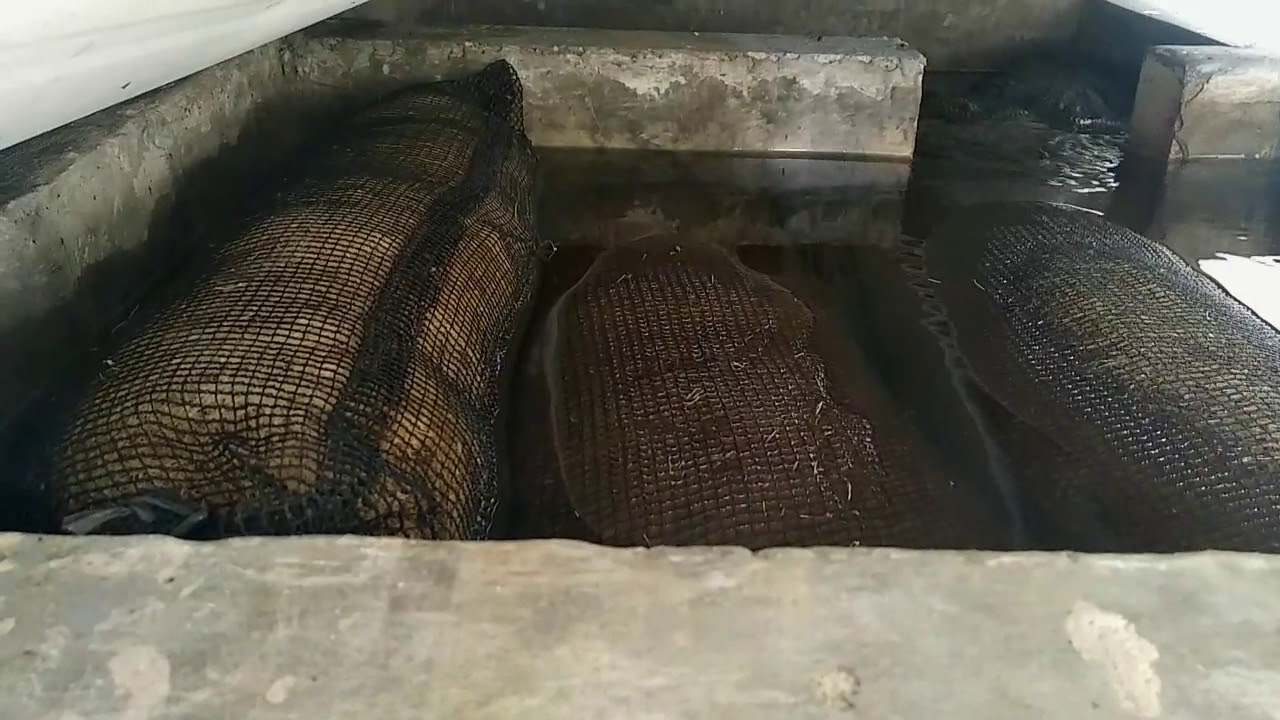 Filter kolam koi agar air kolam jernih bebas busa (6bulan tanpa kuras)