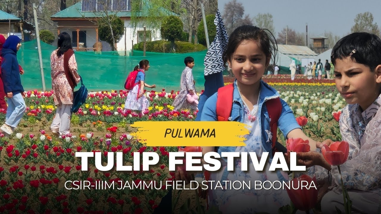 CSIR-IIIM Pulwama celebrates first Tulip Festival, eyes local bulb production