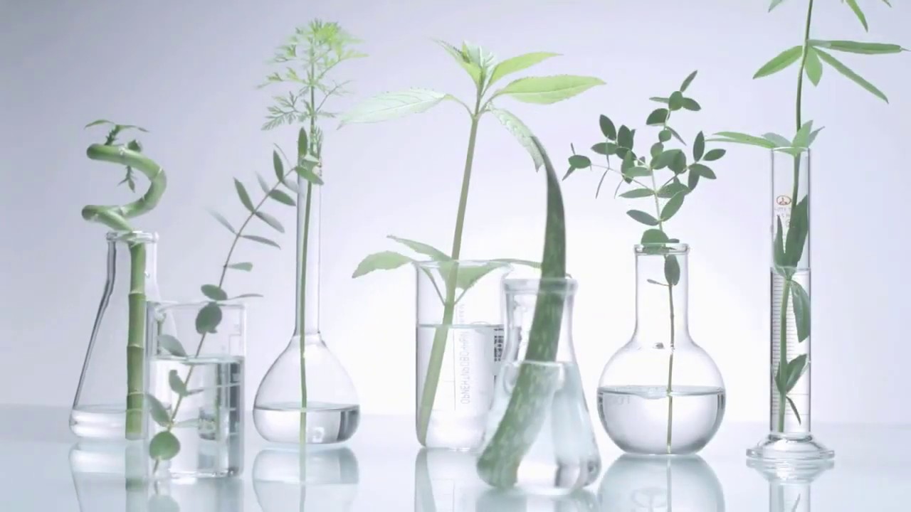 Phyto-C  | Redisover The Power Of Natural Source | Phytoceuticals Skin Care