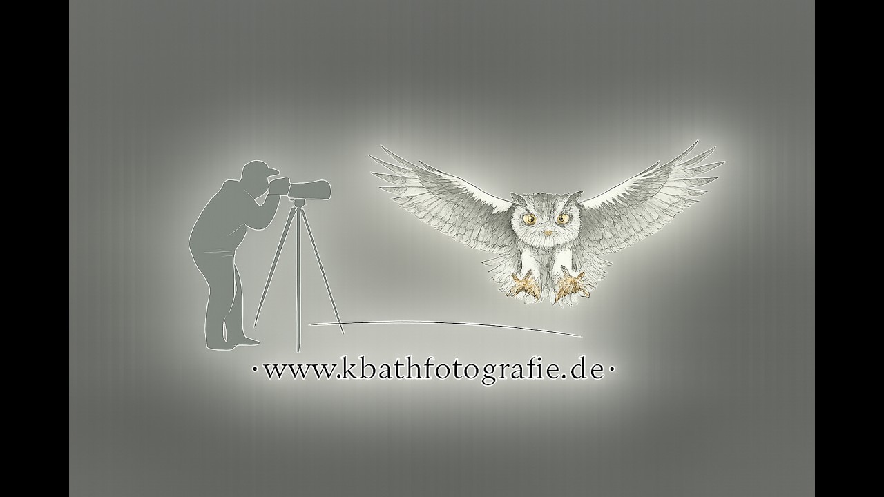 Digiskopie | Kraniche