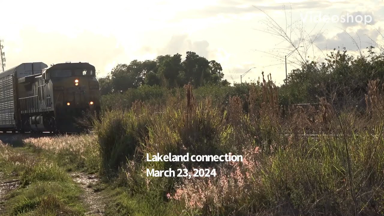 CSX single locomotive 201 at Lakeland connection, Florida. Autorack train.