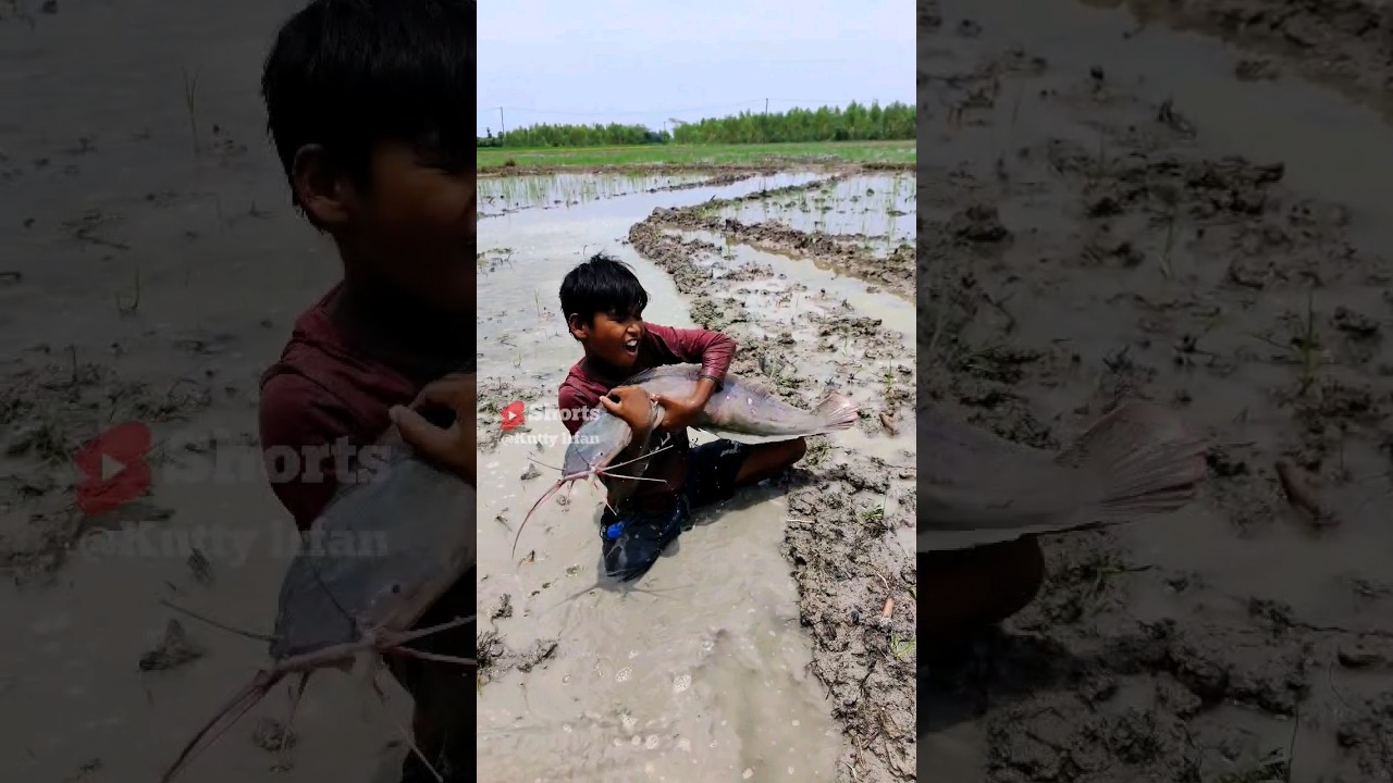 Village Fish Catching🤤#shorts
