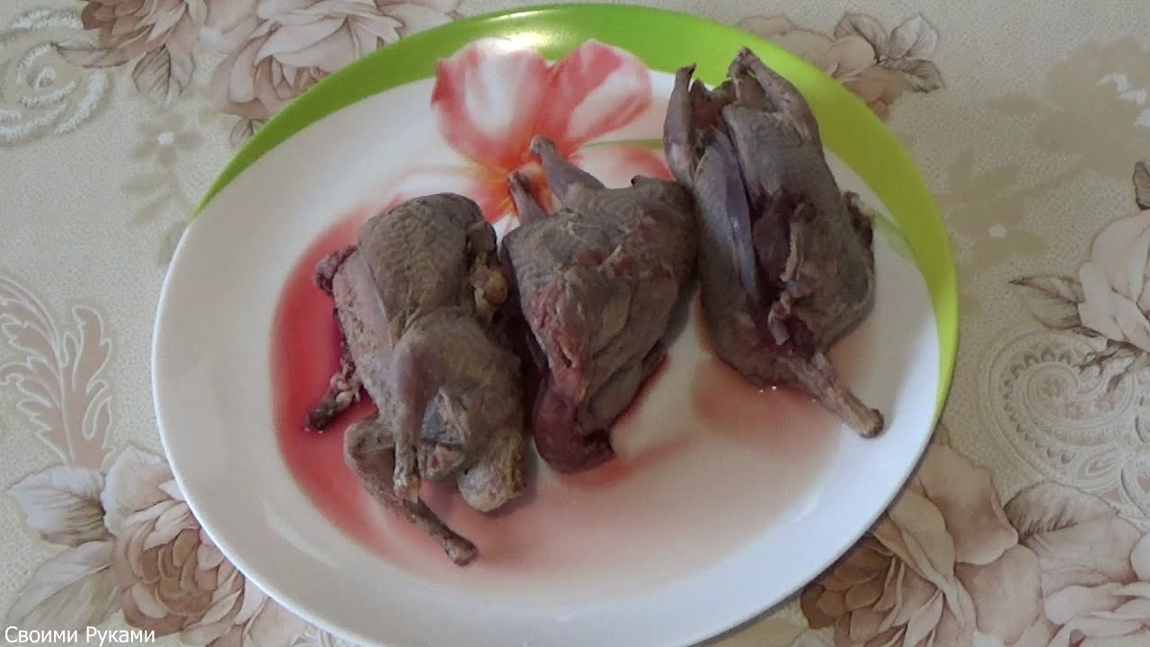 ДИЧЬ ГОРЯЧЕГО КОПЧЕНИЯ. Коптим дикого голубя - горлицу.