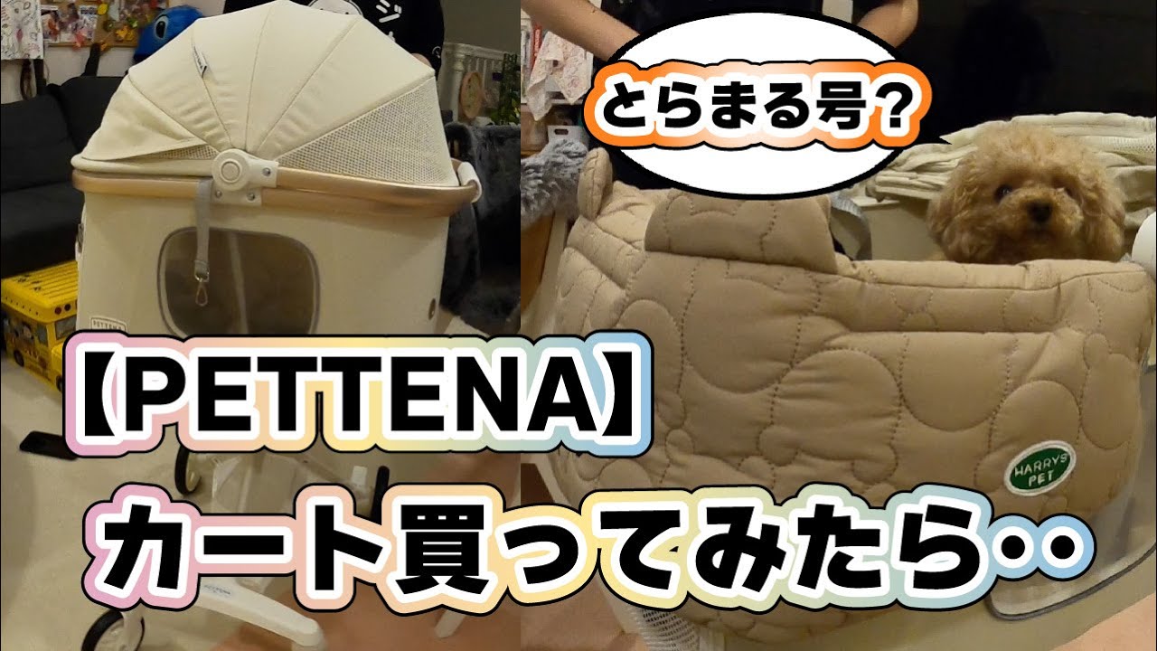 【お買い物編】Instagramで見かけたお洒落カート買ってみたら、、色々失敗だった(笑)