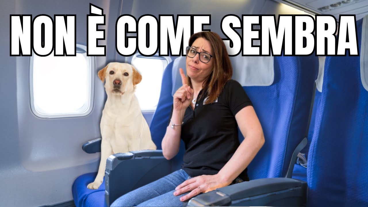 Cani di Taglia Grande in Aereo la Rivoluzione è Iniziata (ma NESSUNA compagnia è pronta)