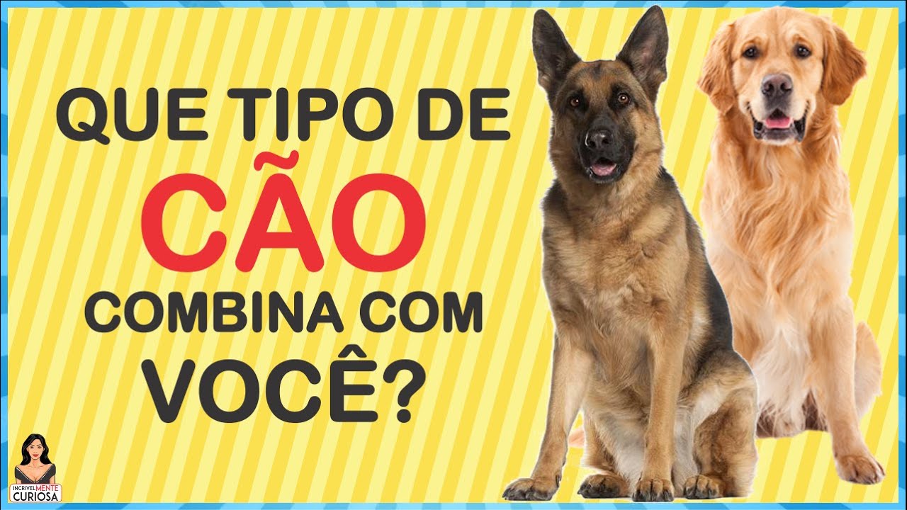 QUIZ DE PERSONALIDADE | Que Tipo de Cão Combina Mais Com Você #IncrivelMenteCuriosa