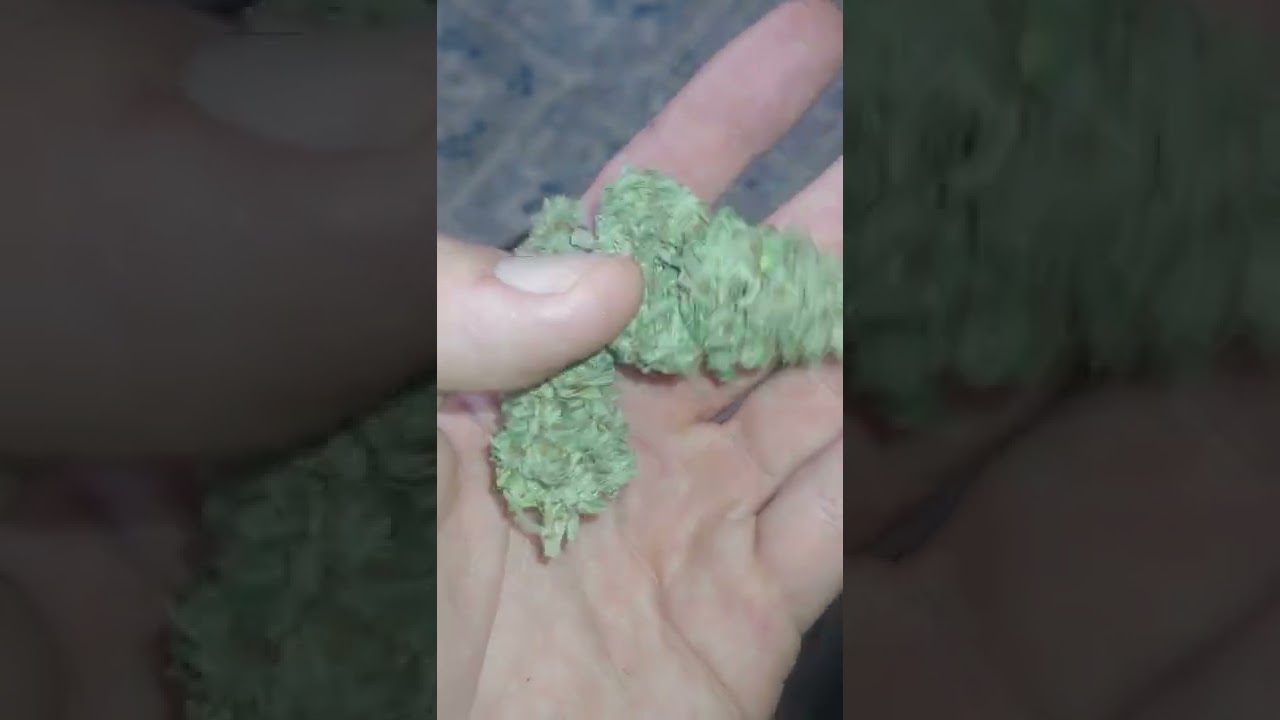 LSD final product