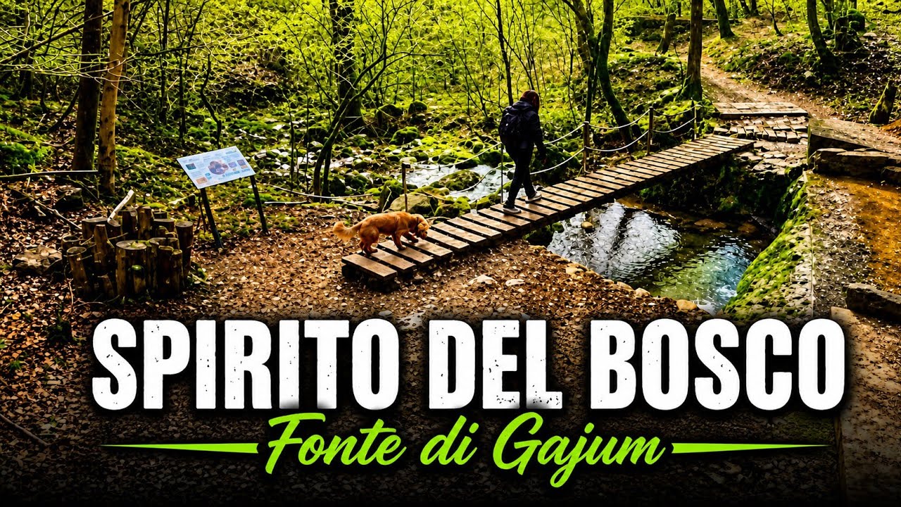 FONTE DI GAJUM - SPIRITO DEL BOSCO FINO A TERZ'ALPE CON GIRO AD ANELLO