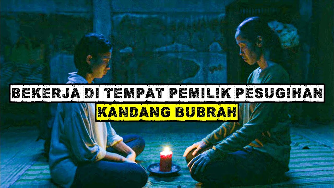 SEREM ‼️ TAK SADAR KEKAYAAN MAJIKAN DARI HASIL PESUGIHAN