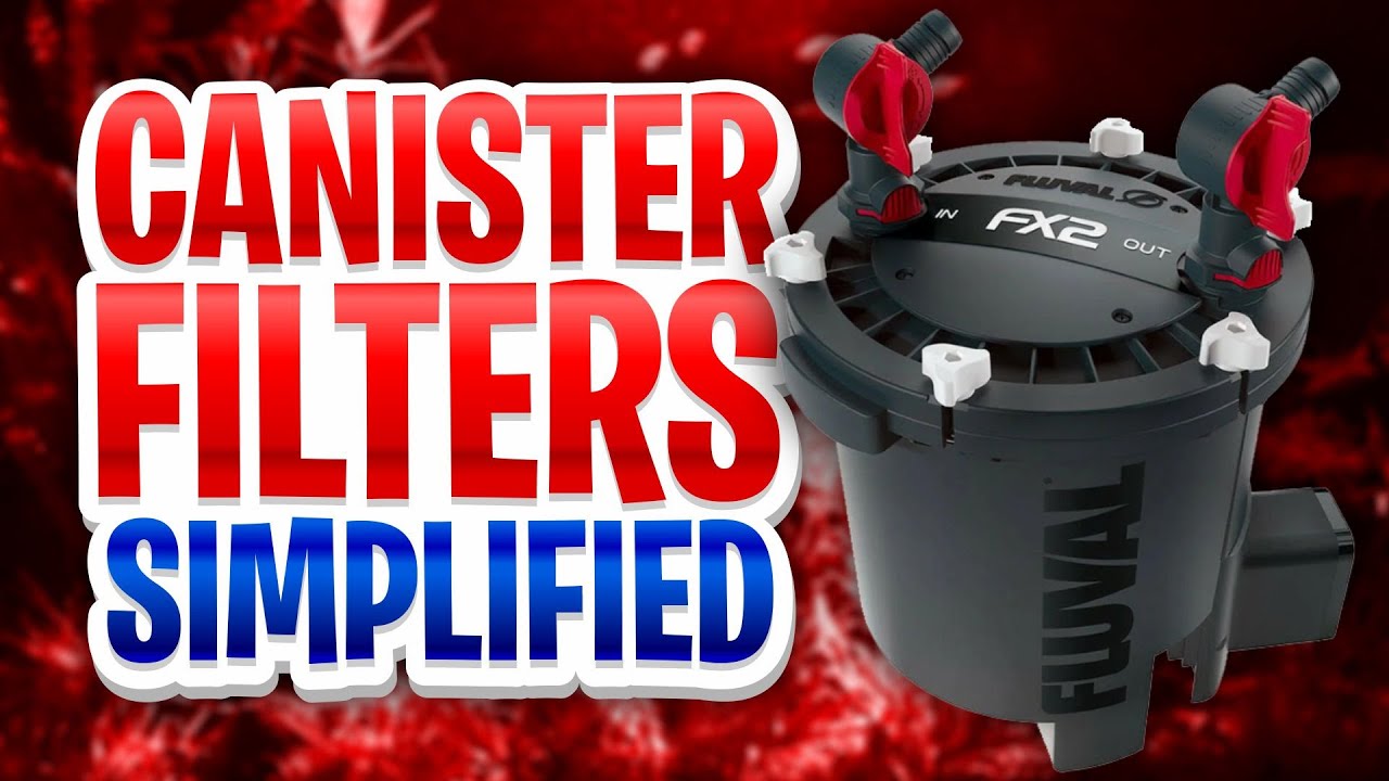Canister Filters Simplified - Are They Really The Best Aquarium Filter On The Market?