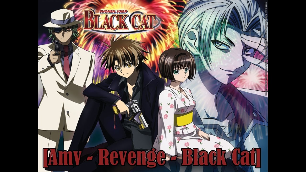 [Amv] Revenge ~ Black Cat