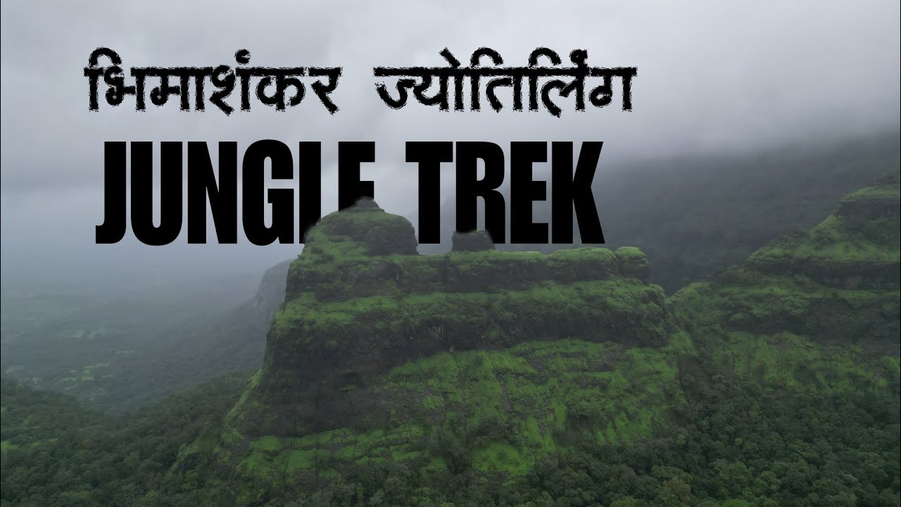 Bhimashankar Trek | Jungle Trek Via Ganeshghat | Cinematic Drone Shots | भीमाशंकर ट्रेक प्रवासवर्णन
