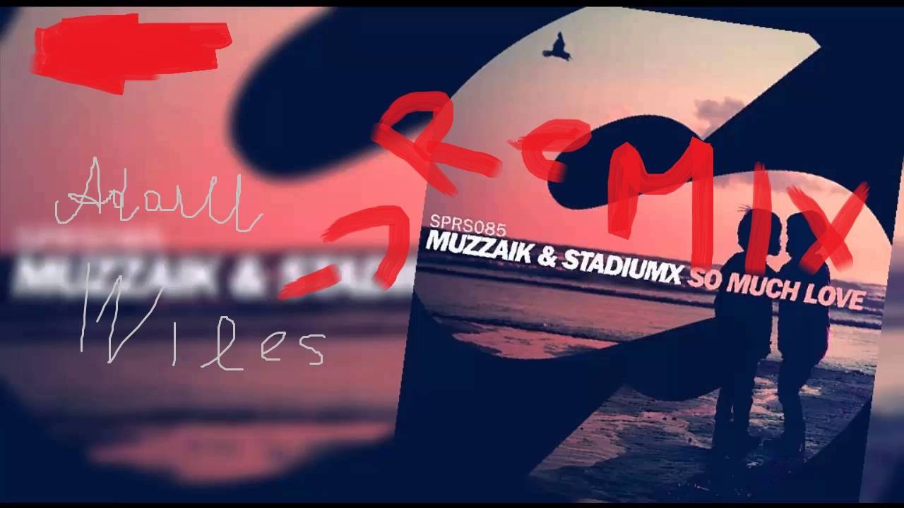 Muzzaik & Stadiumx - So Much Love (Adam Wiles REMIX)