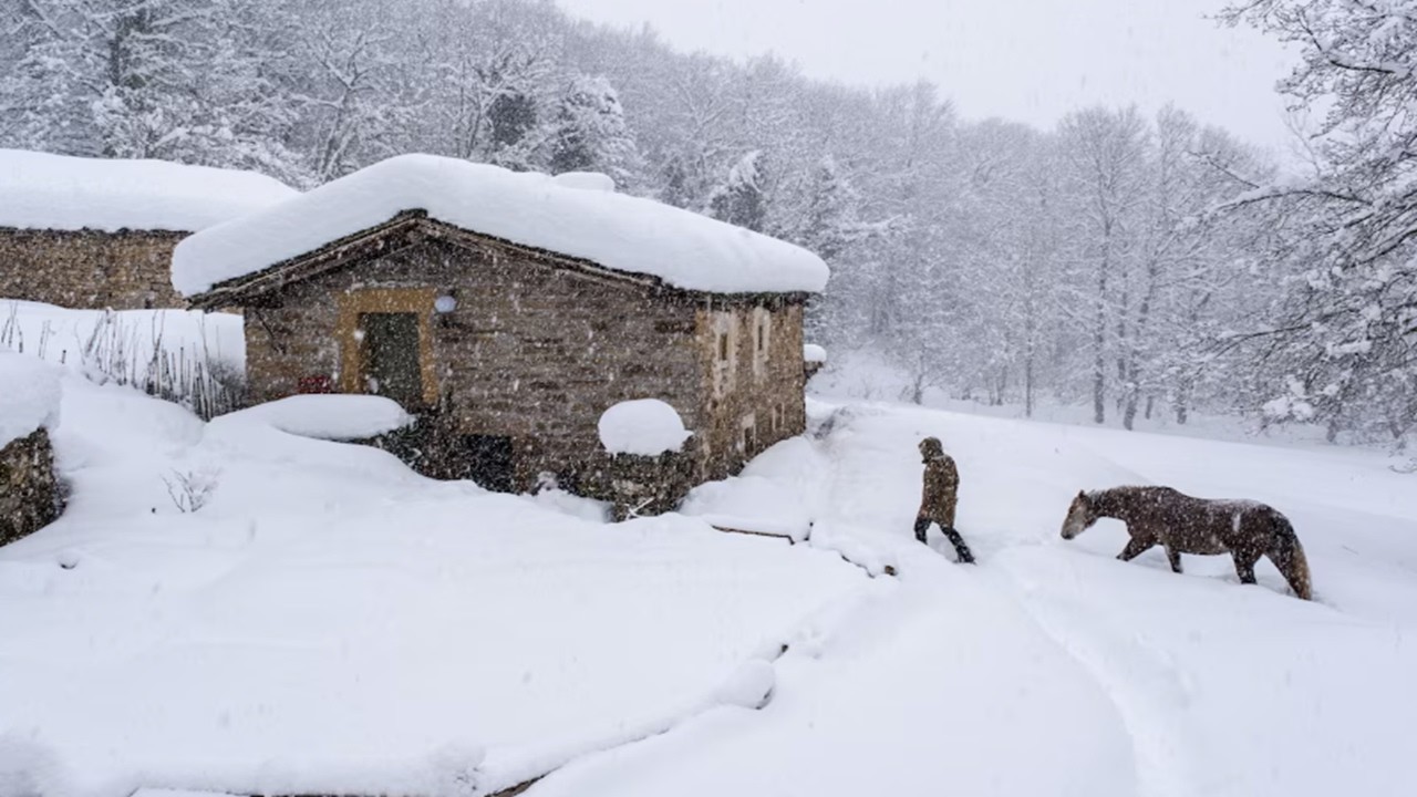 【死闘】マイナス30度の猛吹雪。ツリーハウスに閉じ込められ、命の危険を感じました。