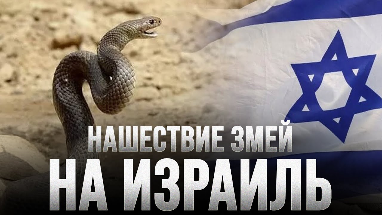 Нашествие ЗМЕЙ на ИЗРАИЛЬ