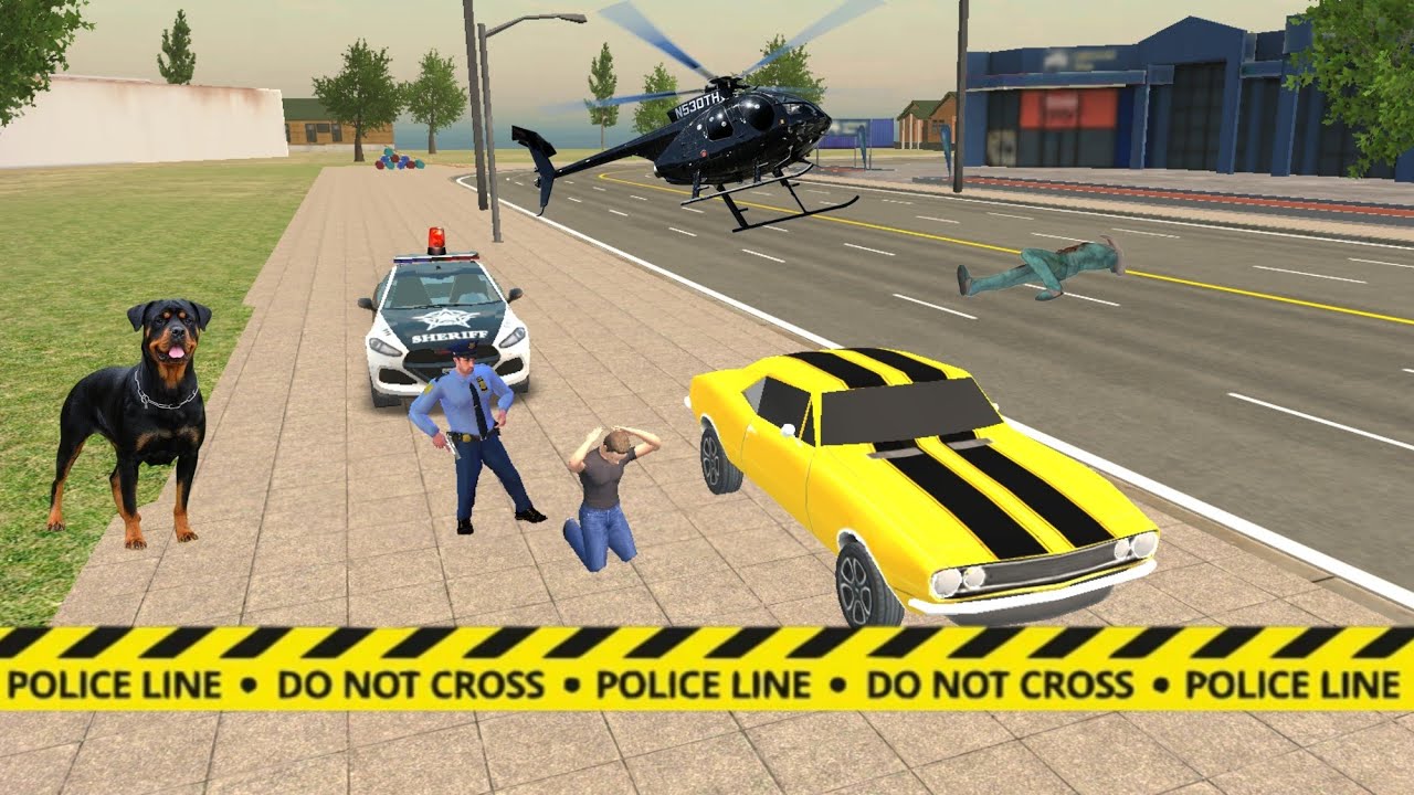 No Rules. No Mercy. INSANE Police Chase Gameplay 🔥Police vs Criminal: The Chase That Broke the Game