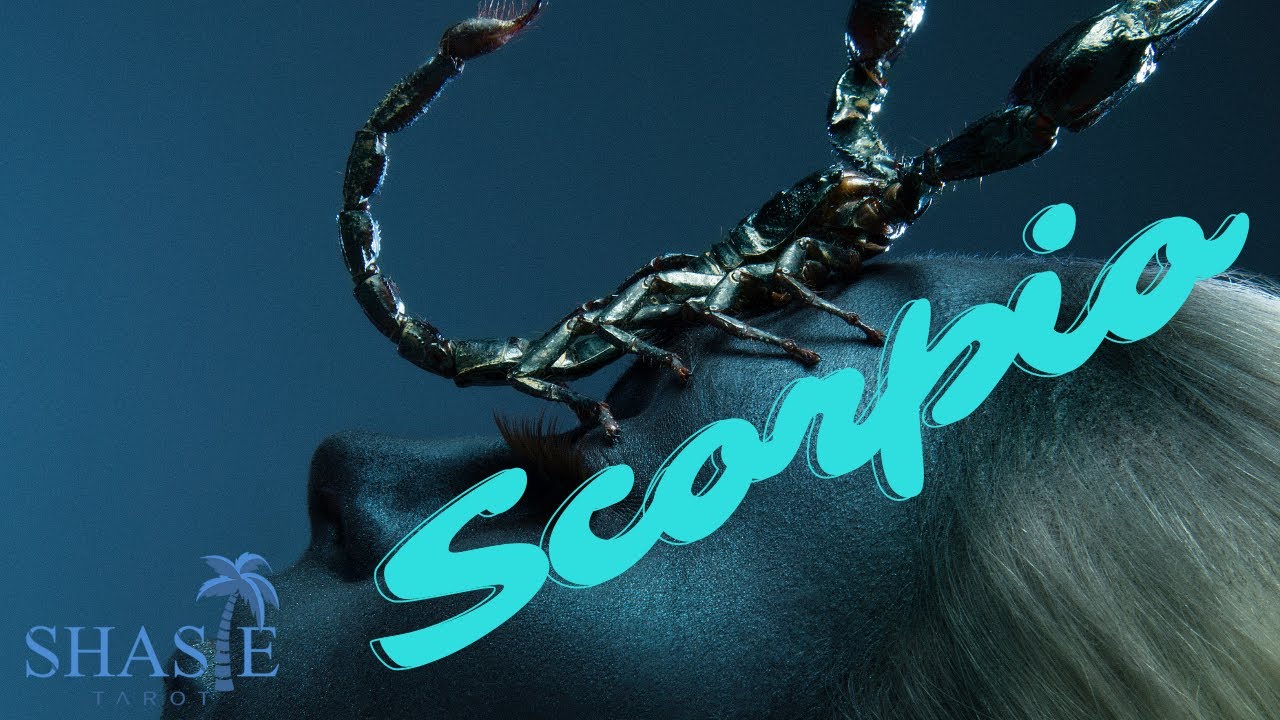 Scorpio ♏️ LOVE ABOUNDS HEADED YOUR WAY! 💕 A SOLID offer from SOMEONE who will HAVE YOUR BACK!