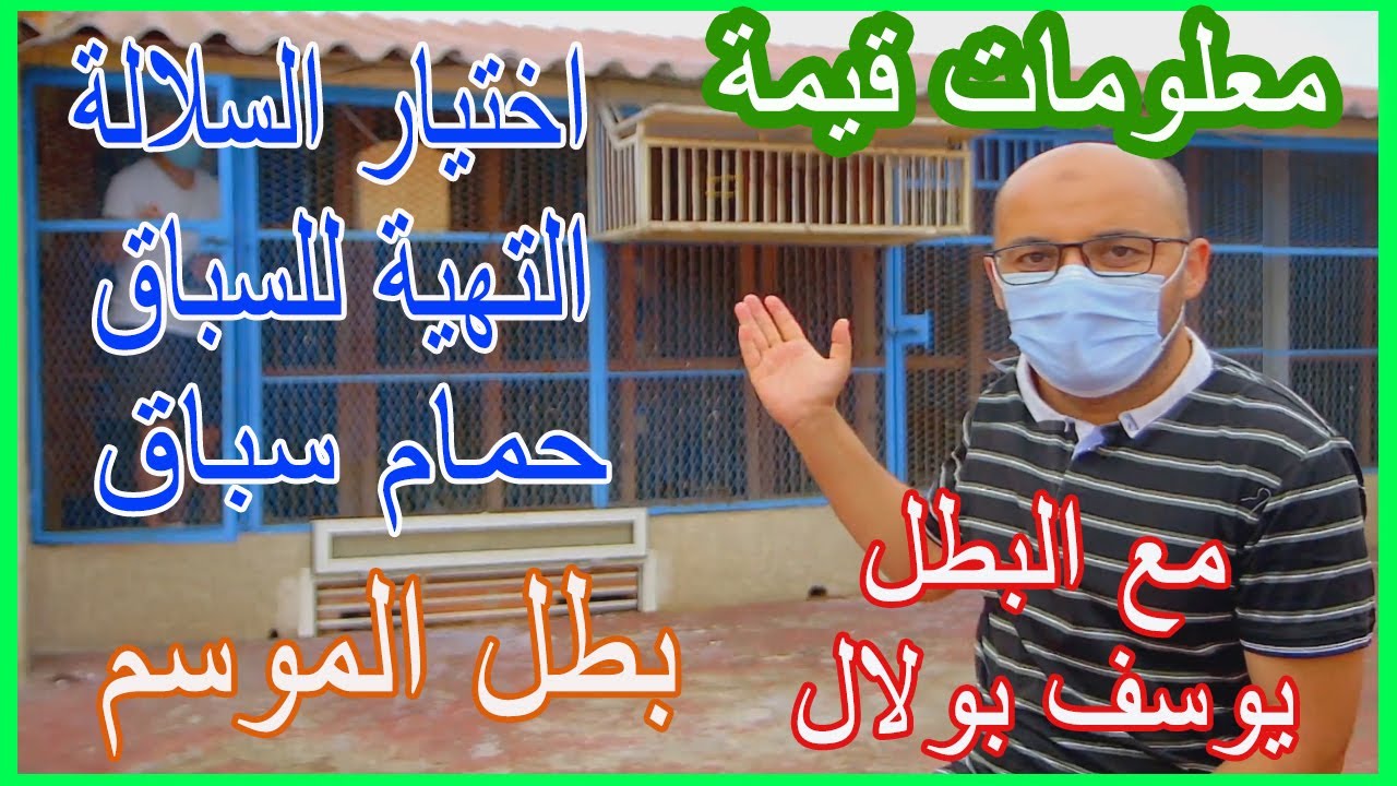 بطل المرطون يوسف بولال, كيف تعرف الحمام الزاجل الاصيل,حمام زاجل , زاجل حجاوي ,مواصفات الحمام الزاجل