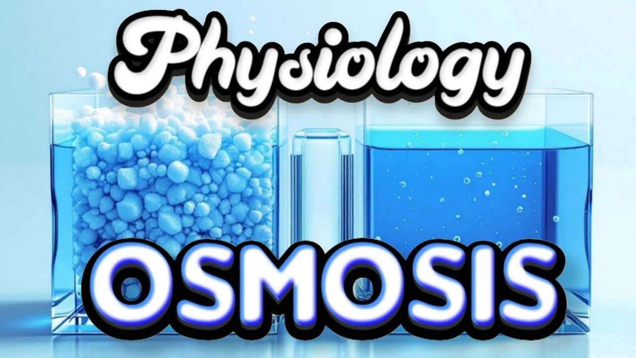 الأسموزية ونفاذية الماء  |   Osmosis & Permeability of water - Plant Physiology