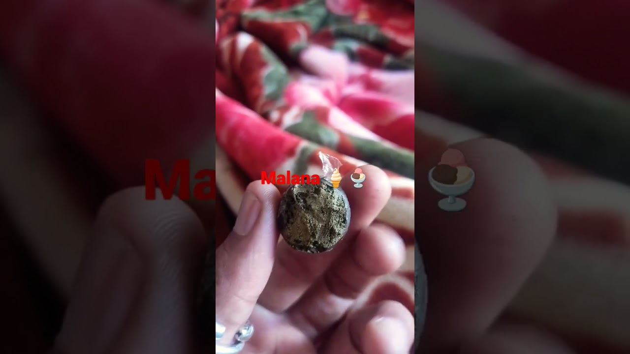 Malana Cream 🍦 #cream #weedzao #crazyxyz