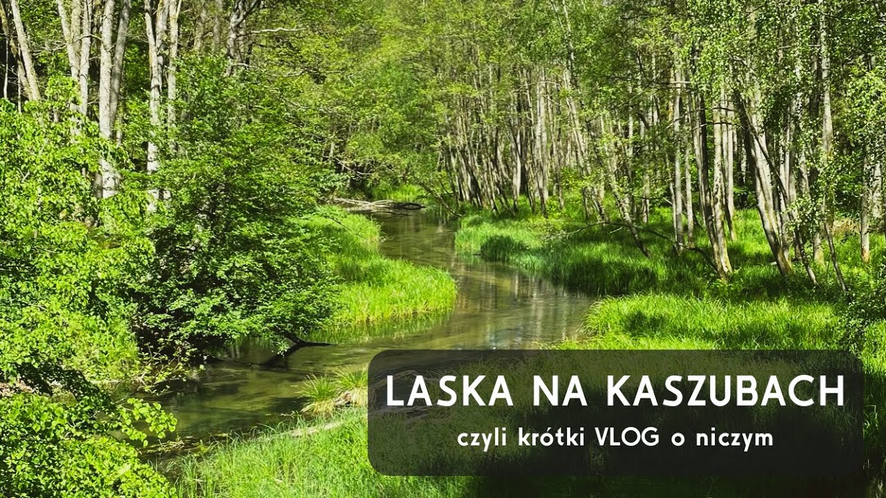 Dwudzionek #2 Kemping Laska na Kaszubach