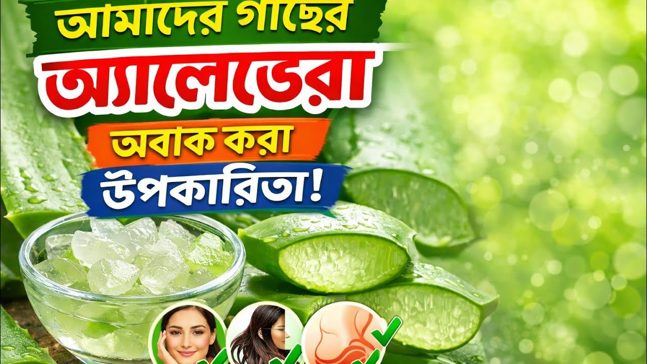 আমাদের গাছের অ্যালোভেরা উপকারিতা | Aloe Vera Benefits Bangla | প্রাকৃতিক চিকিৎসা