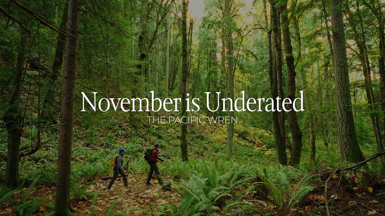 A Slow Season Reset | Notes From Fall