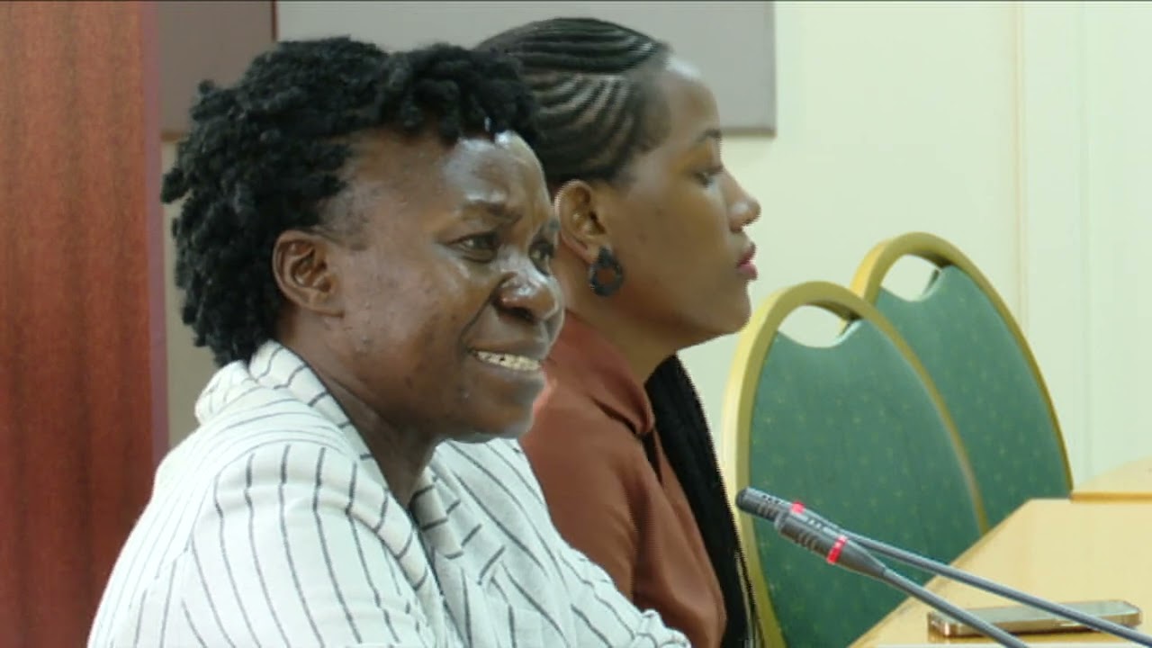 Ministers appear before parliamentary committee over iron sheets saga