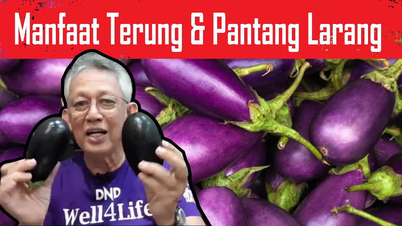 25 Manfaat TERUNG! & 5 pantang larang yang patut kita tahu!