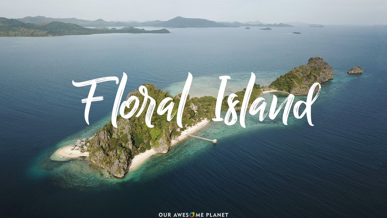 Floral Island: Your Dream Vacation on Your Own Private Island Paradise in Palawan?!