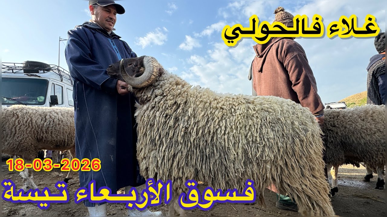 غالي حولي ليوم فسوق أربعاء تيسة 18/03/2026