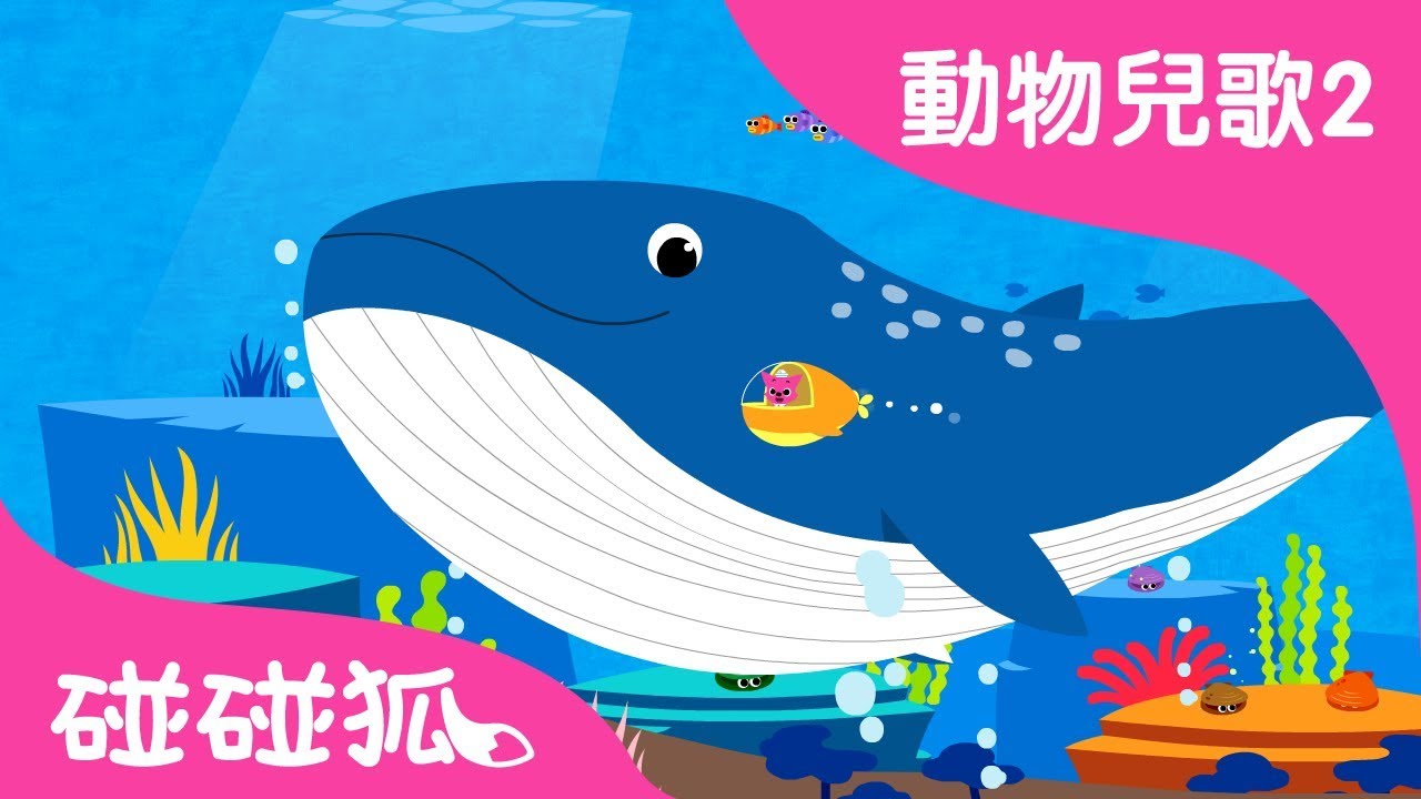 鯨魚| 動物兒歌2 | 2018 | 碰碰狐Pinkfong | 寶寶兒歌