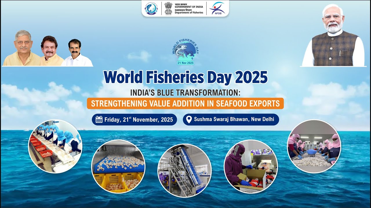 World Fisheries Day || Strengthening Value Addition in Seafood Exports