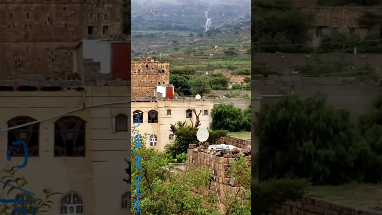 ١٢ أغسطس ٢٠٢٣
