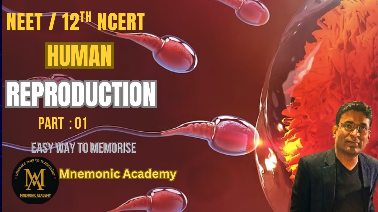 NEET Human Reproduction Part 1 | Unique NCERT Mnemonics & Tricks | Class 12 Biology