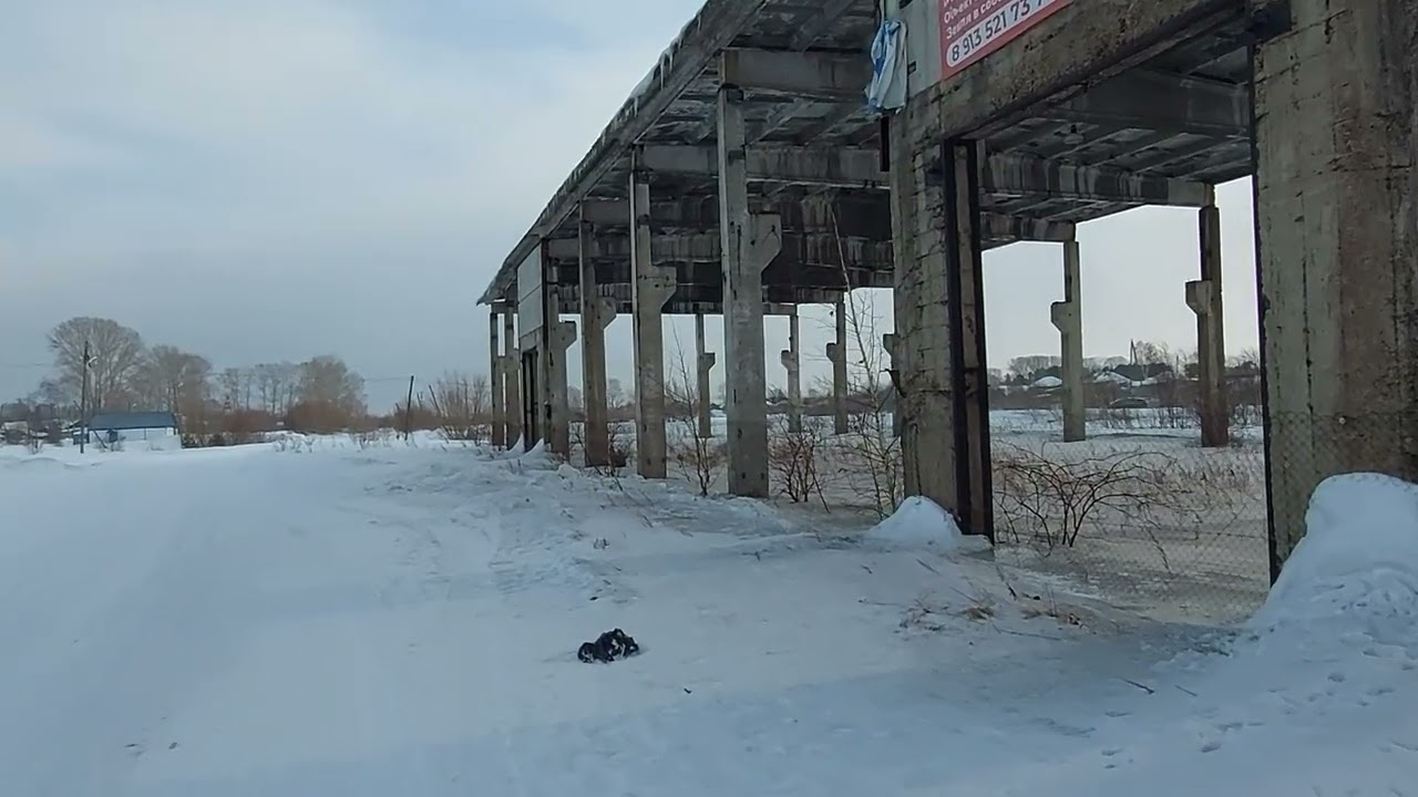 Темные времена  и маленькие радости.
