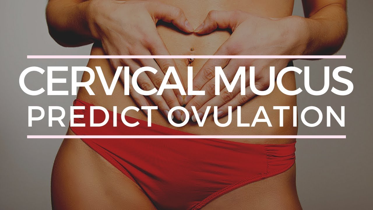 CHECKING CERVICAL MUCUS TO PREDICT OVULATION -  How To & Everything Else You Need to Know