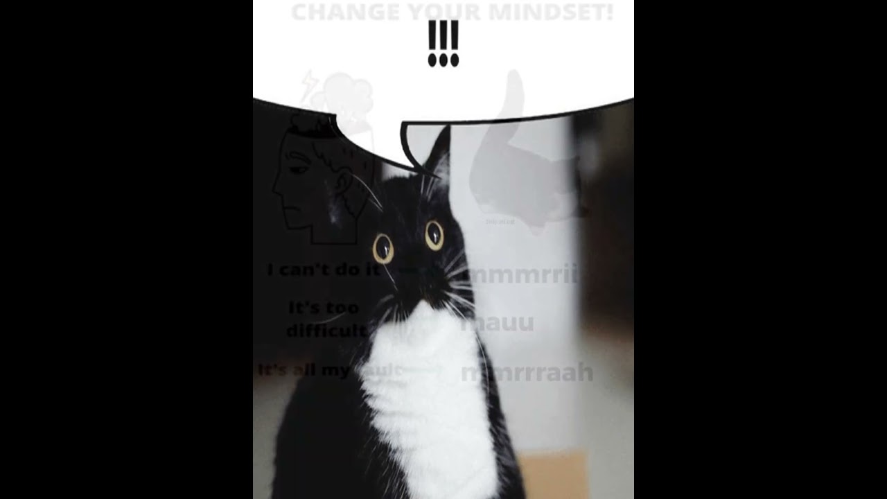 change your mindset